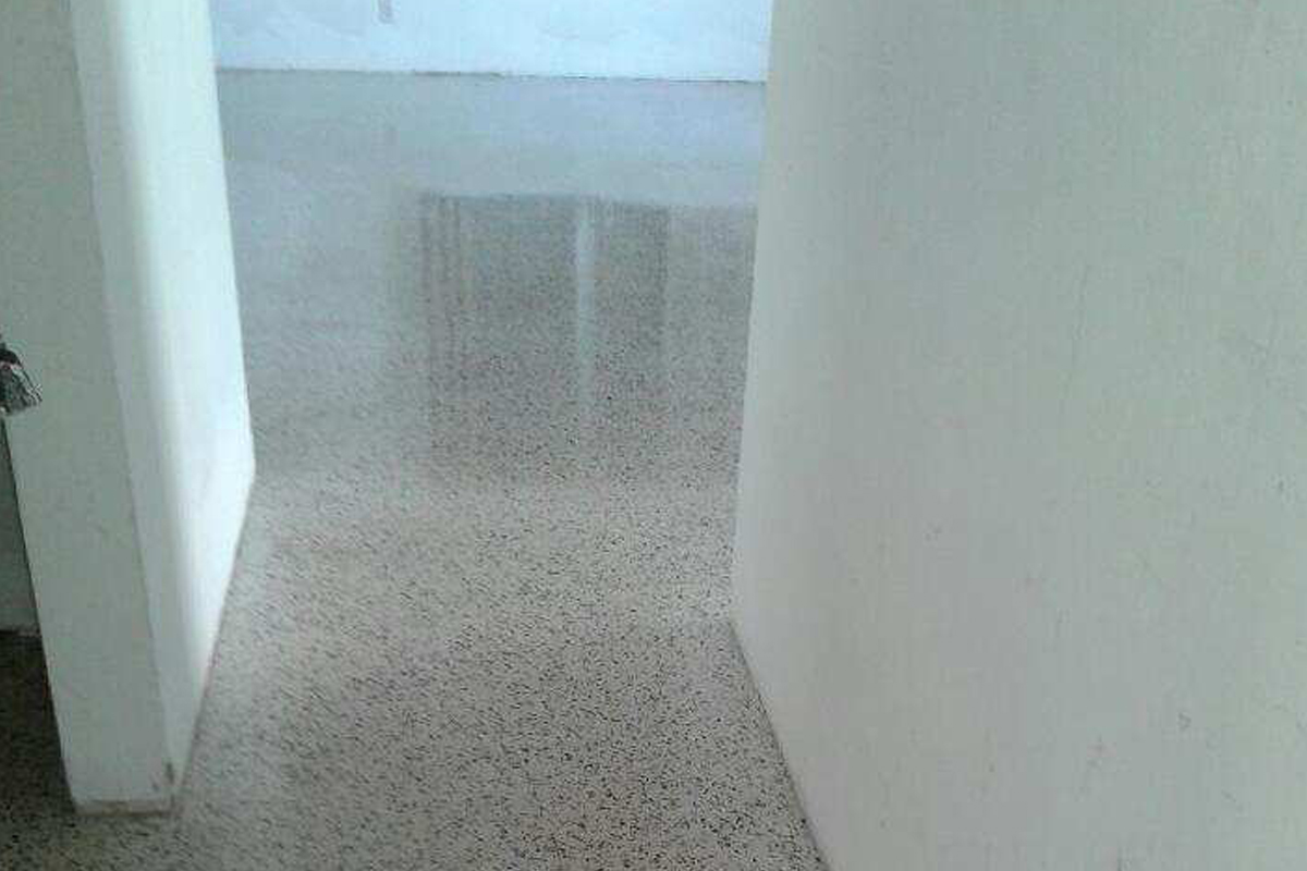 Terrazzo Clean and Restore