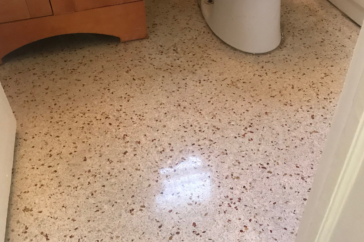 Terrazzo Clean and Restore